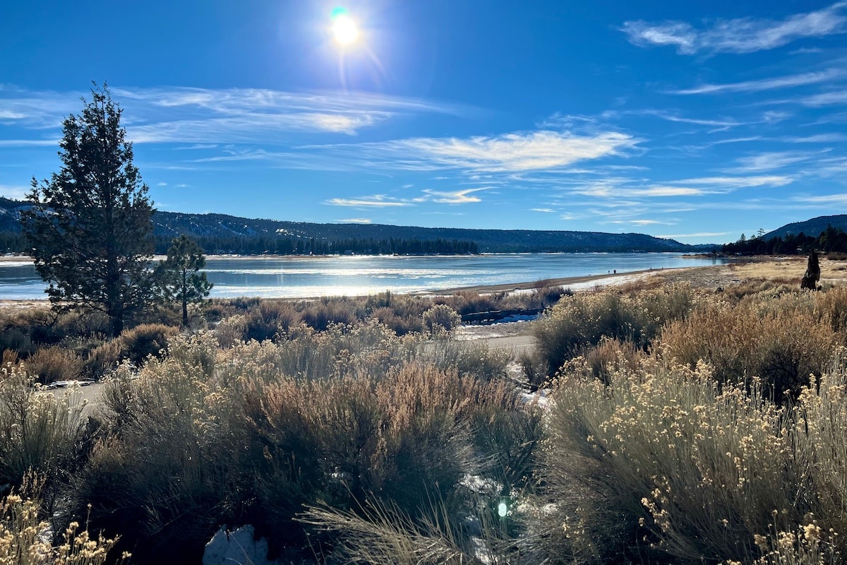 Pine Peak Retreat photo 59