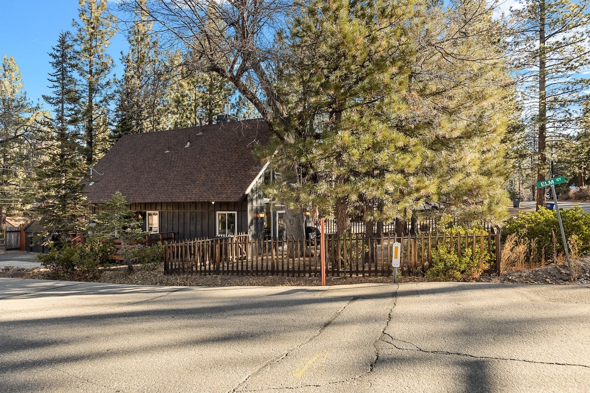 Elm photo 46