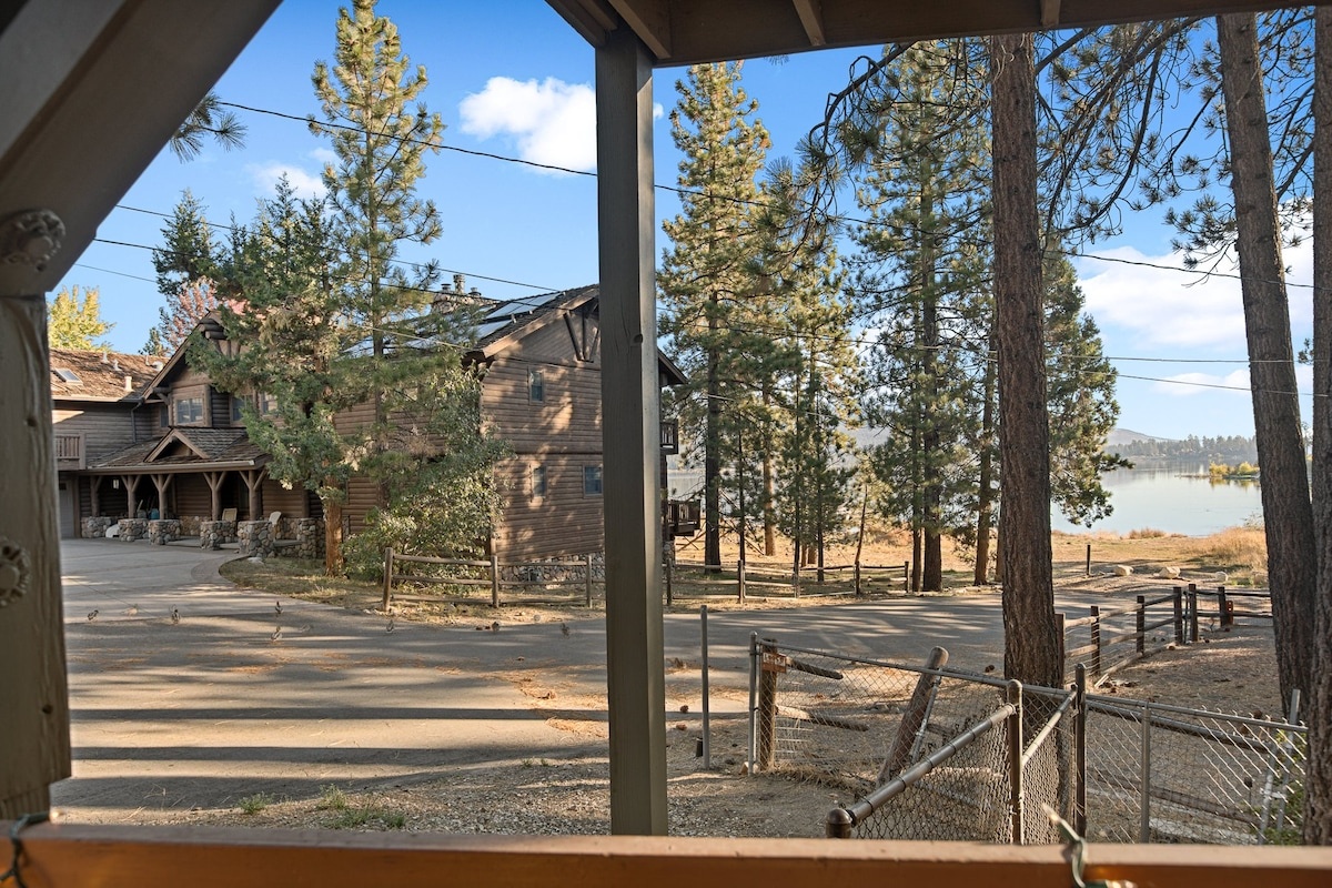 Lakeview photo 29